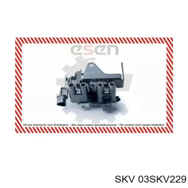 03SKV229 SKV bobina de ignição