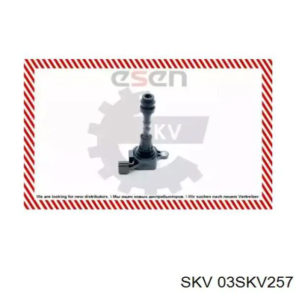 Катушка зажигания 03SKV257 SKV