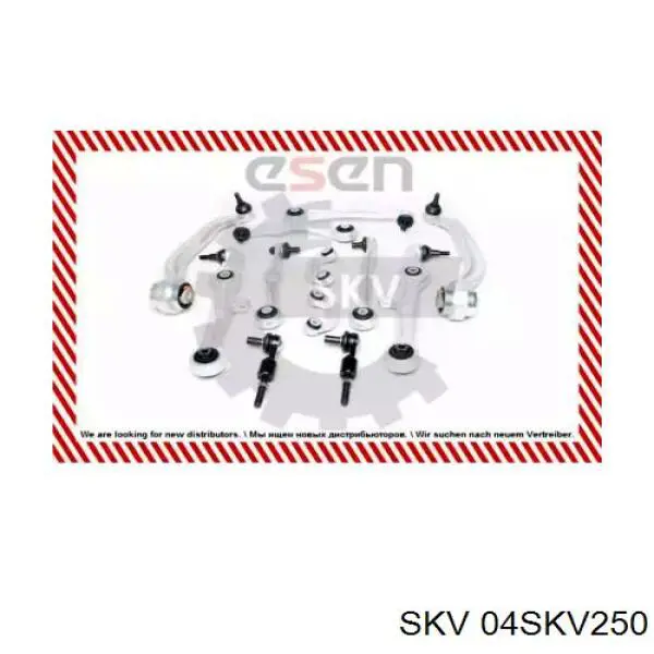 Купить 04SKV250 SKV Комплект рычагов передней подвески
