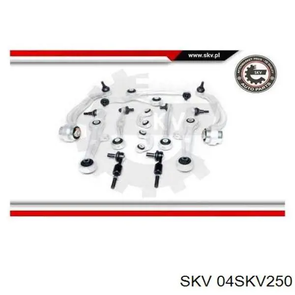 04SKV250 SKV kit de braços oscilantes de suspensão dianteira