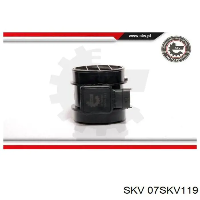 07SKV119 SKV Датчик расхода воздуха