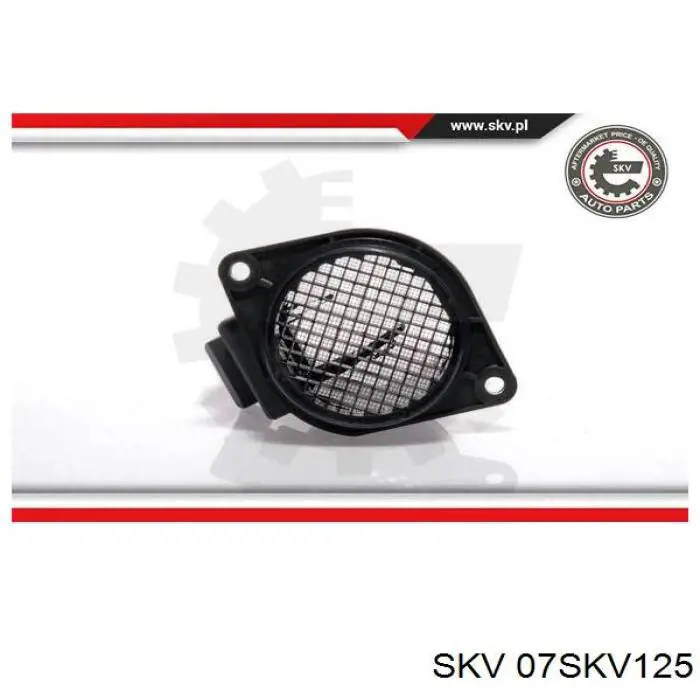 Расходомер воздуха SKV 07SKV125