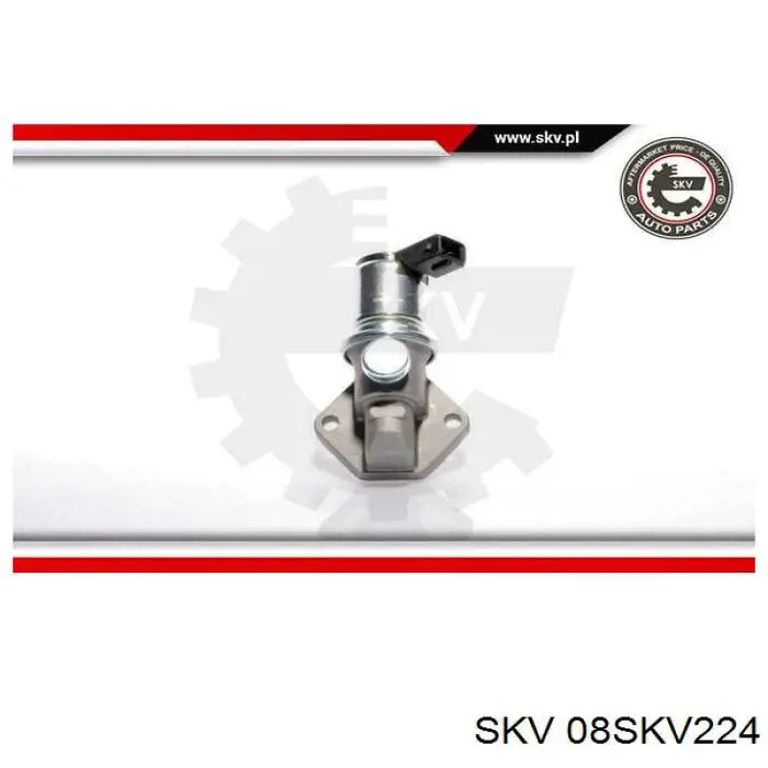 08SKV224 SKV клапан (регулятор холостого хода)