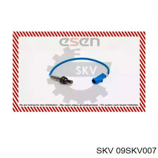  09SKV007 SKV