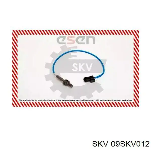  09SKV012 SKV