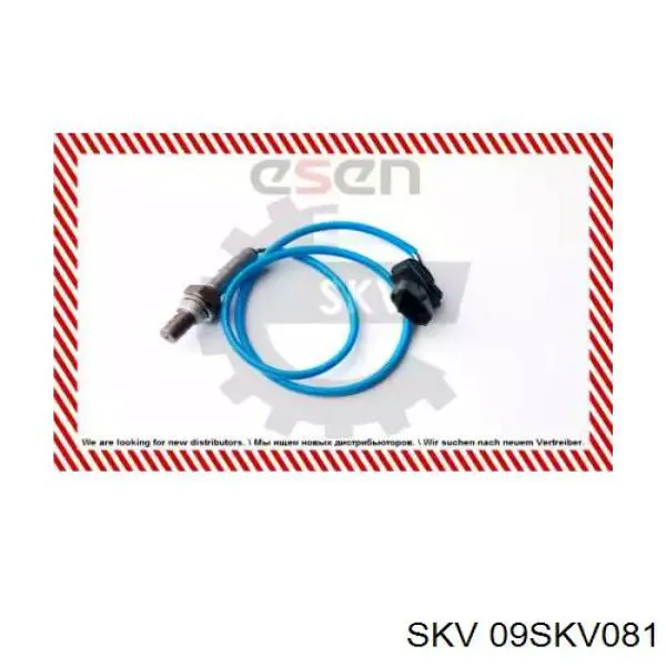 Лямбдазонд, датчик кислорода после катализатора SKV 09SKV081 цена, от 18.68 USD