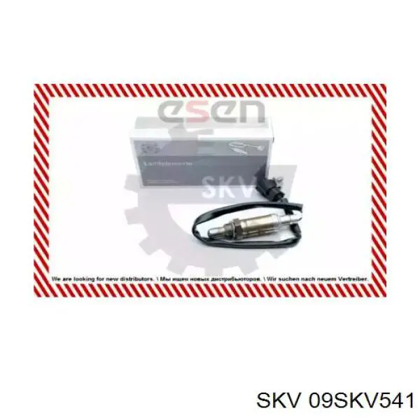  09SKV541 SKV