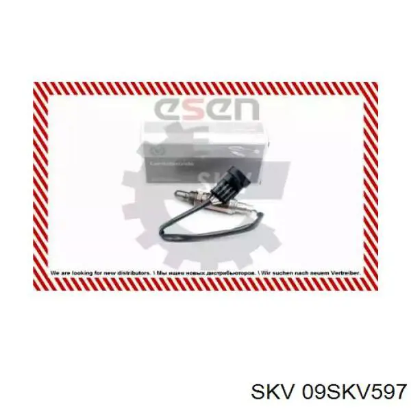  09SKV597 SKV