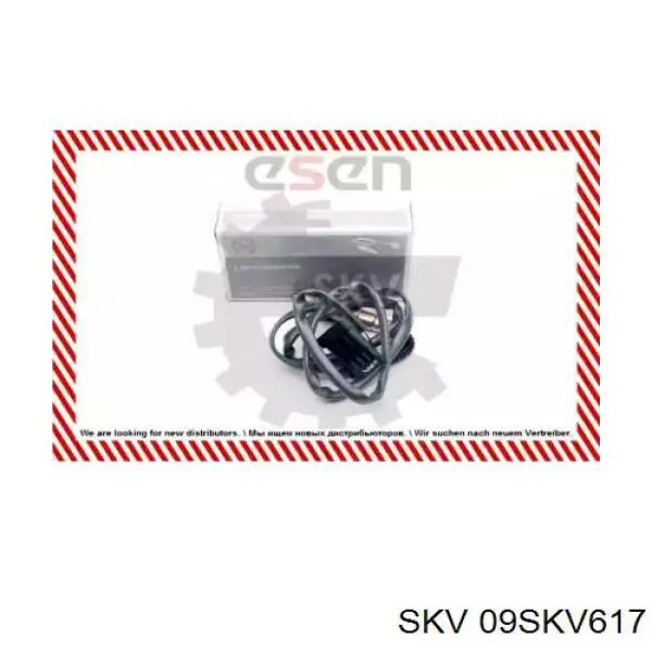  09SKV617 SKV