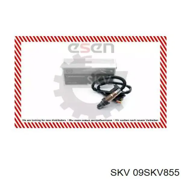  09SKV855 SKV