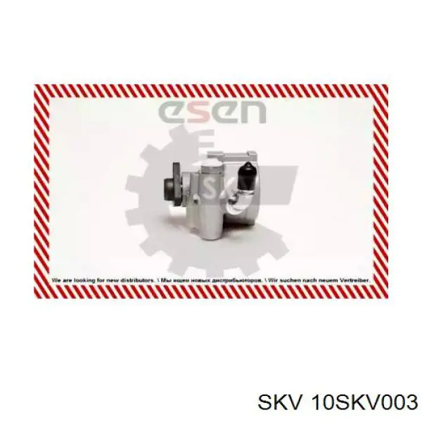 Насос гидравлики SKV 10SKV003 цена, от 63.58 USD