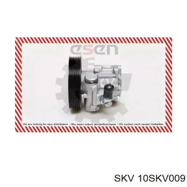 Купить 10SKV009 SKV Насос рулевого управления