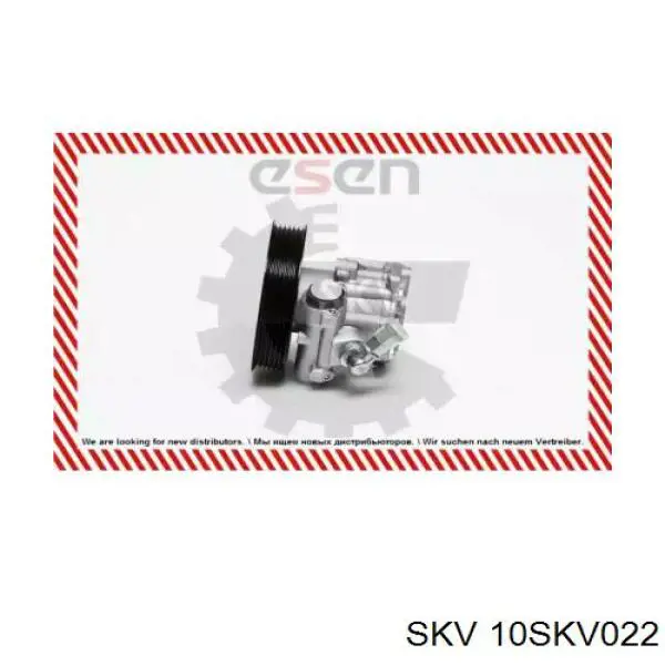 Купить 10SKV022 SKV Насос рулевого управления