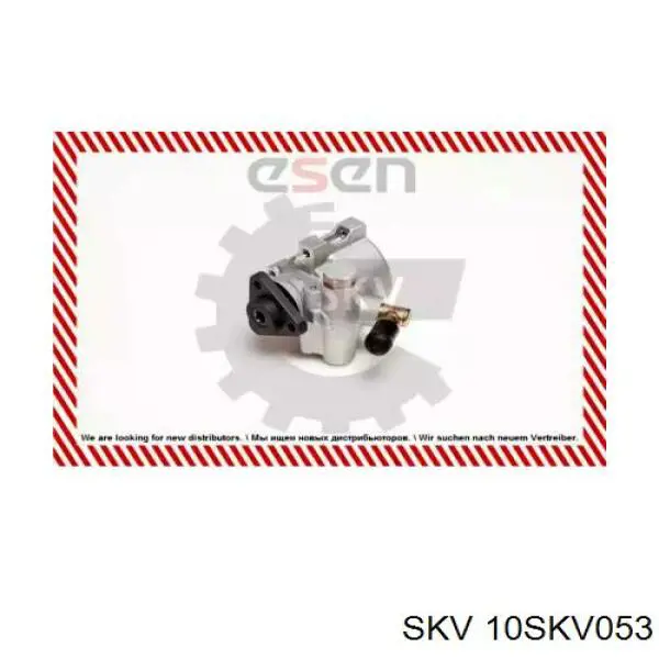 Насос ГУР 10SKV053 SKV