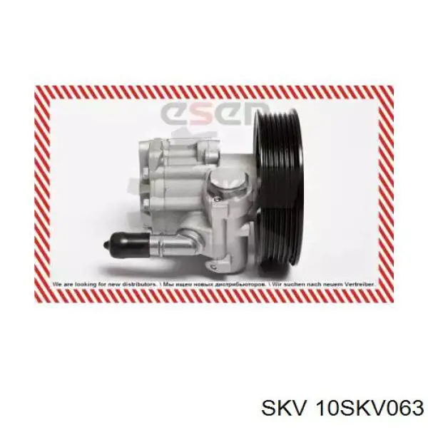 Купить 10SKV063 SKV Насос рулевого управления