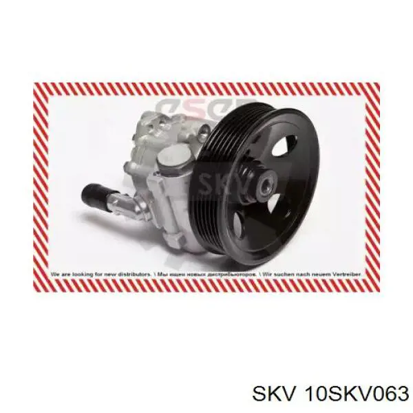 Насос ГУР 10SKV063 SKV