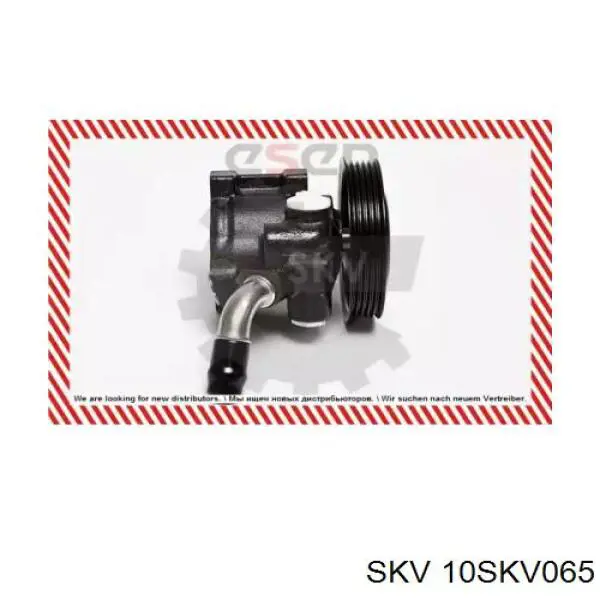 Купить 10SKV065 SKV Насос рулевого управления