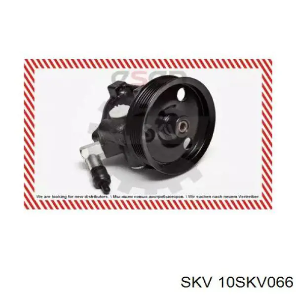 Насос ГУР 10SKV066 SKV