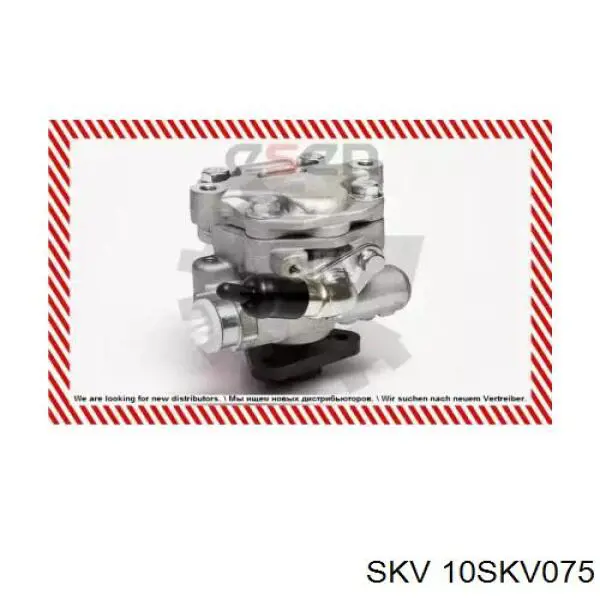 Купить 10SKV075 SKV Насос рулевого управления