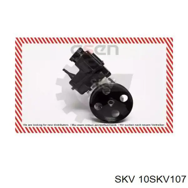 Насос ГУР 10SKV107 SKV