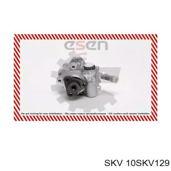 Насос ГУР 10SKV129 SKV