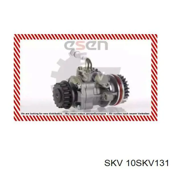 Насос ГУР 10SKV131 SKV