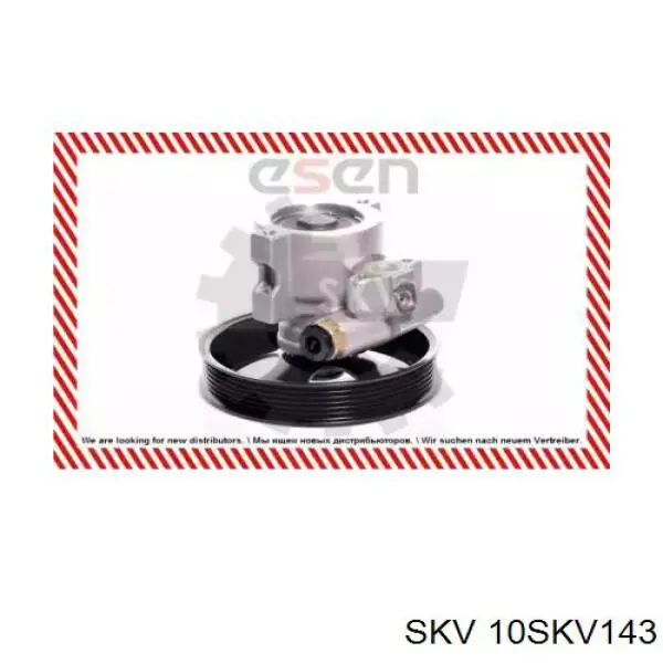 Насос ГУР 10SKV143 SKV
