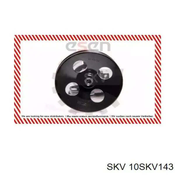 Насос гидроусилителя руля SKV 10SKV143