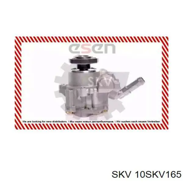 Насос ГУР 10SKV165 SKV