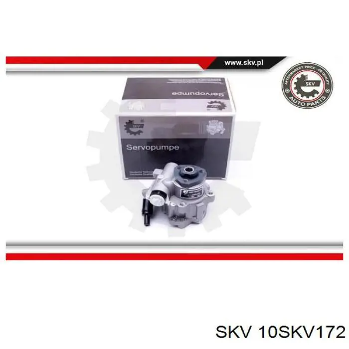 Купить 10SKV172 SKV Насос рулевого управления
