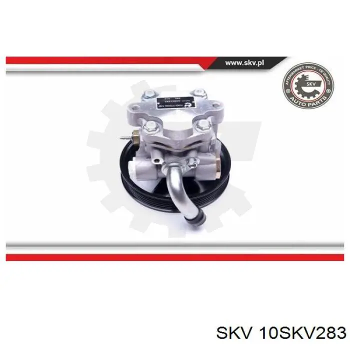Насос гидроусилителя руля Suzuki 4910065D10000