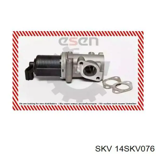 14SKV076 SKV клапан егр