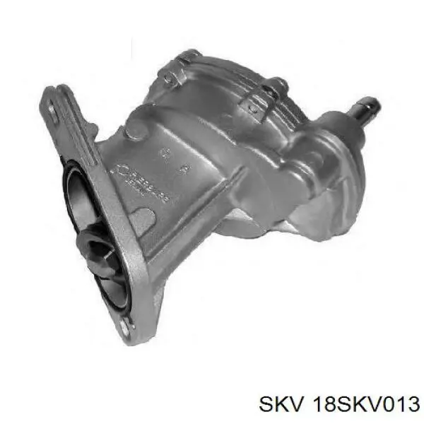 18SKV013 SKV Механический вакуумный насос