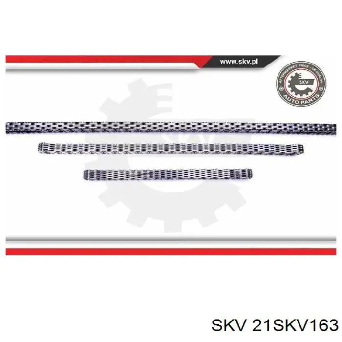 Комплект цепи ГРМ 21SKV163 SKV