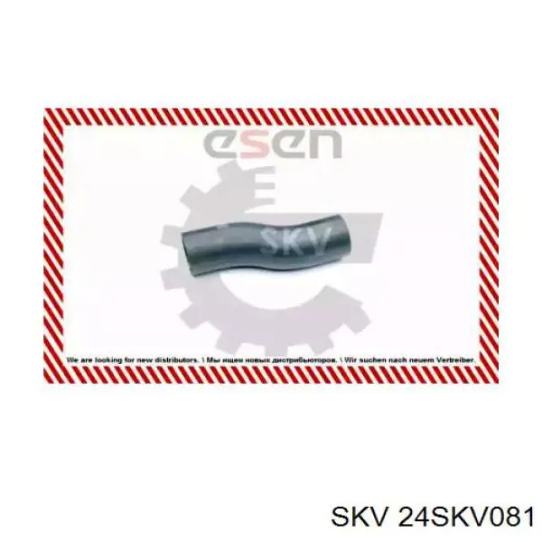 24SKV081 SKV mangueira (cano derivado de intercooler)