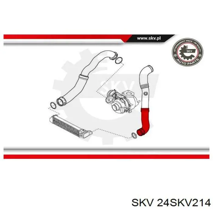 24SKV214 SKV mangueira (cano derivado inferior esquerda de intercooler)