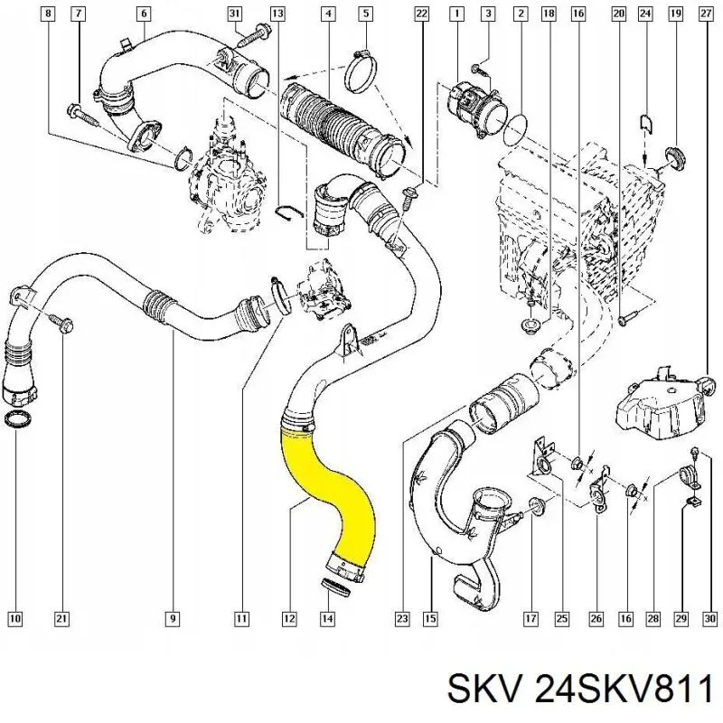 24SKV811 SKV шланг (патрубок интеркуллера левый)