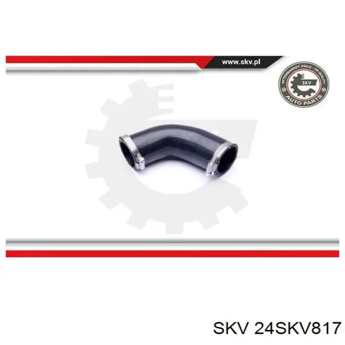  24SKV817 SKV