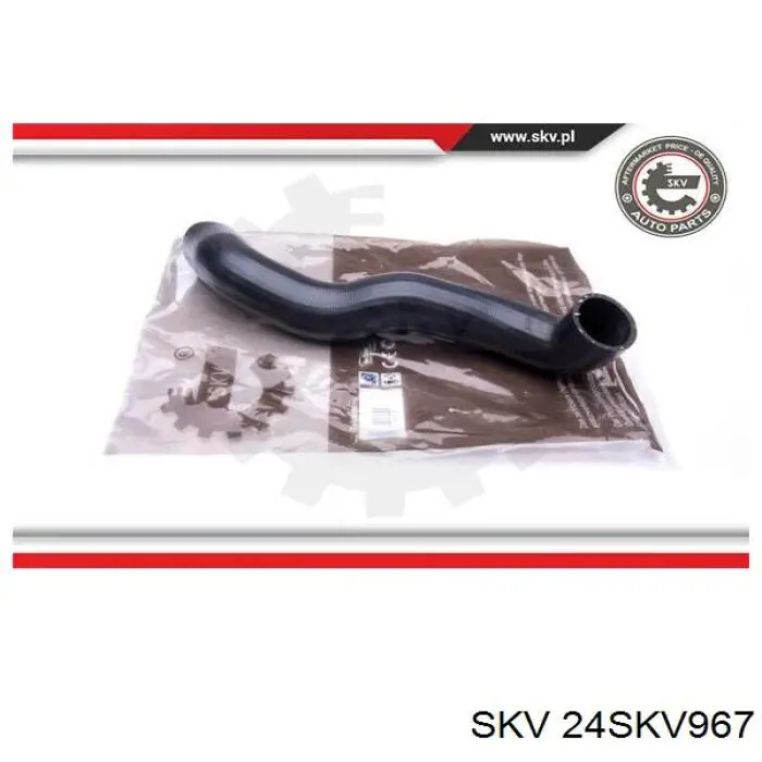  24SKV967 SKV