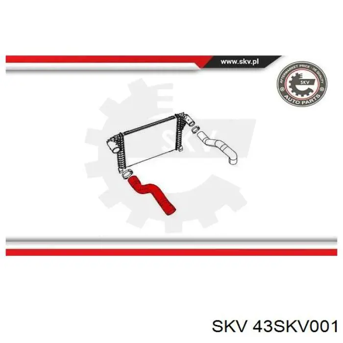 DCY007TT Thermotec 