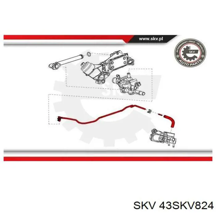 Шланг (патрубок) обогрева дроссельной заслонки 43SKV824 SKV