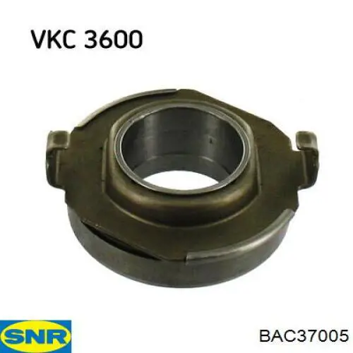 BAC37005 SNR