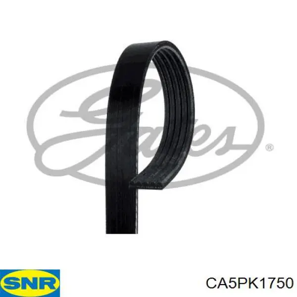 Клиновый ремень SNR CA5PK1750 цена, от 9.57 USD