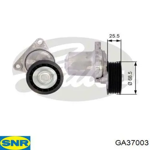 GA37003 SNR