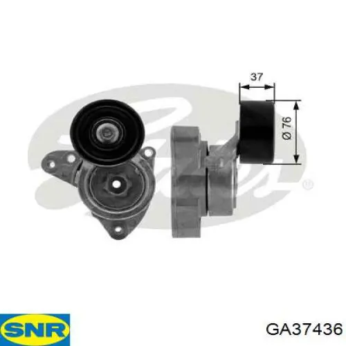 Tensor de correa, correa poli V GA37436 SNR