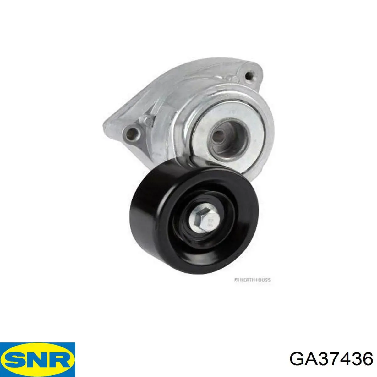 GA37436 SNR