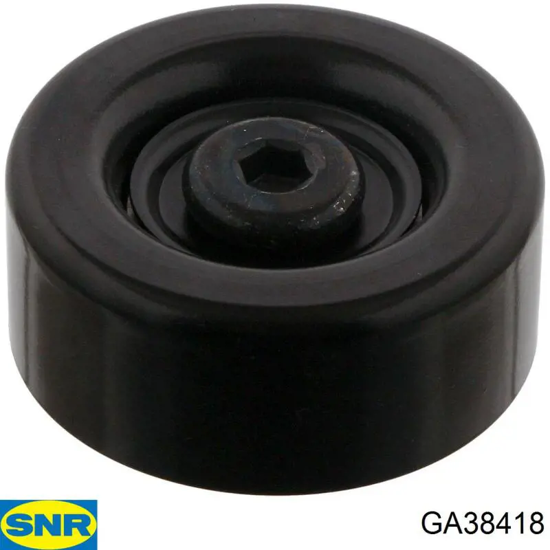 Ролик паразитный SNR GA38418
