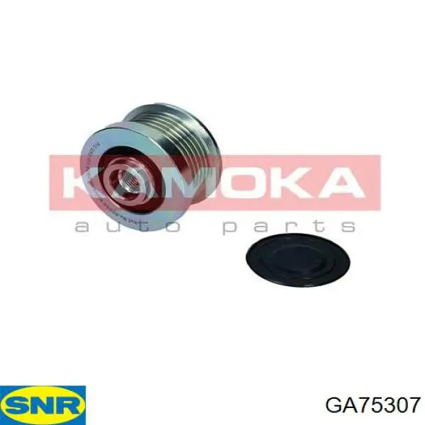 Инерционный шкив SNR GA75307 цена, от 72.86 USD