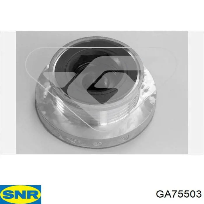 Инерционный шкив SNR GA75503 цена, от 30.44 USD