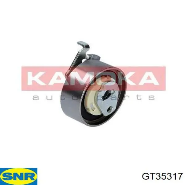 GT35317 SNR